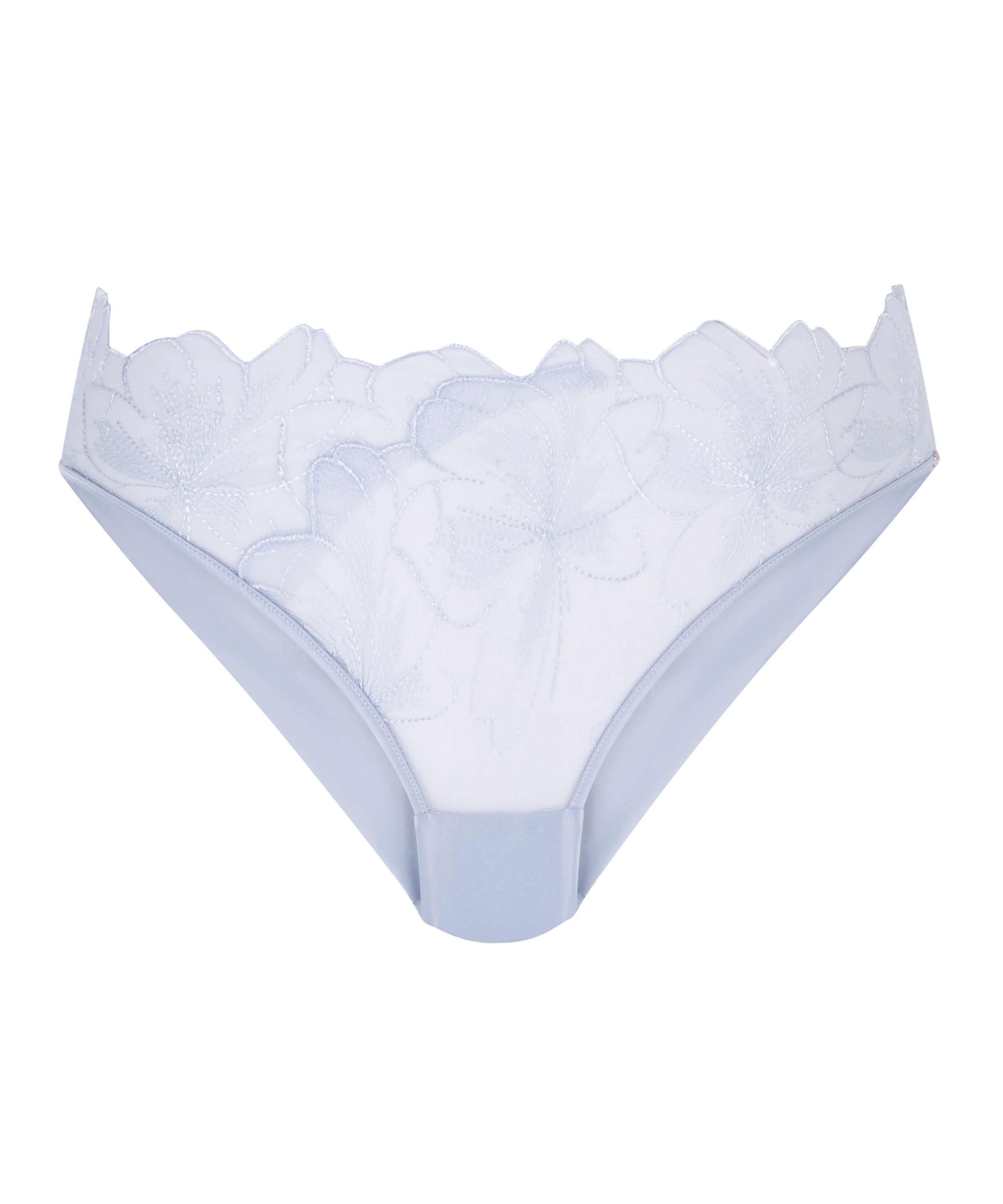 Slip brésilien Emilia , Bleu, main