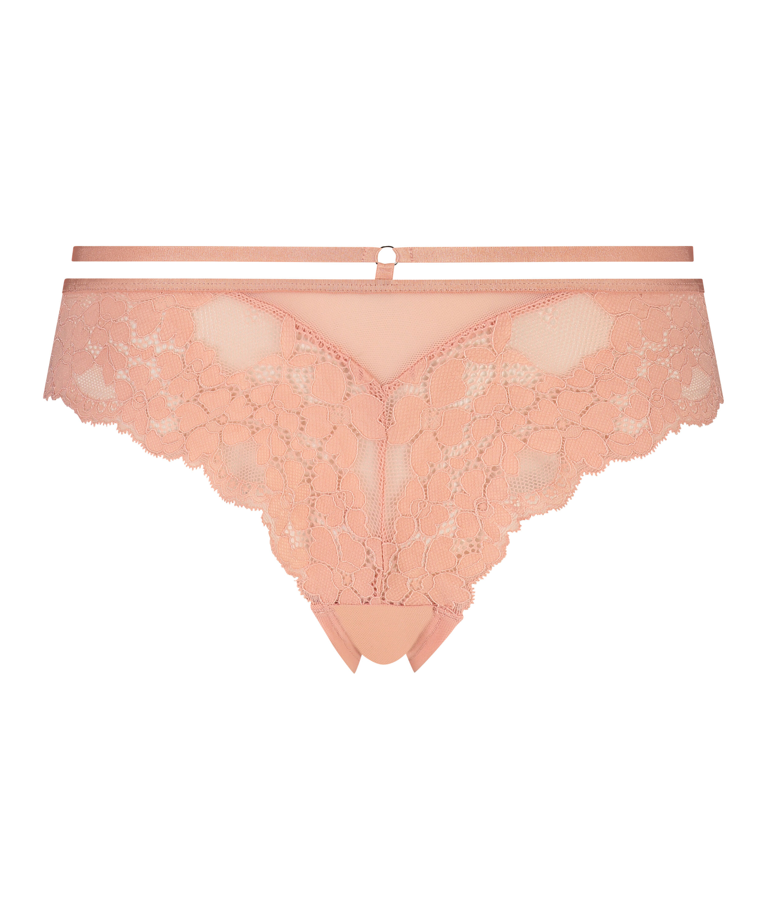 Brésilien Isabelle, Rose Brésilien Isabelle, Rose